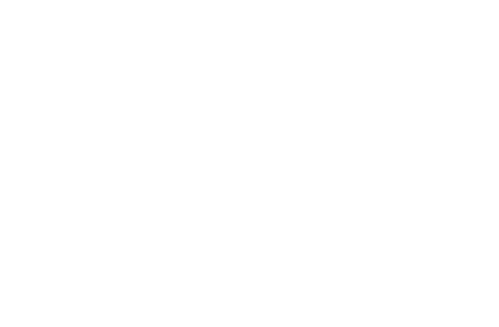 Optihawk logo white transparent